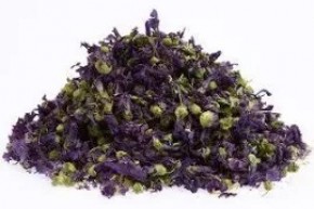 Ebegümeci