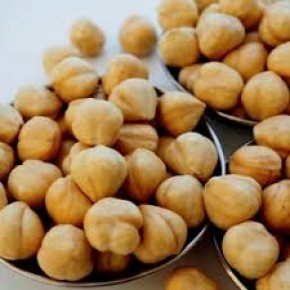 Ordu Fındık