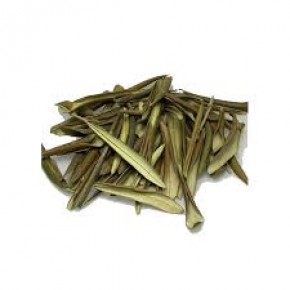 Zeytin Yaprağı